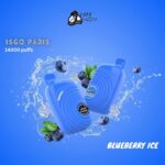 isgo paris 14000 blueberry ice